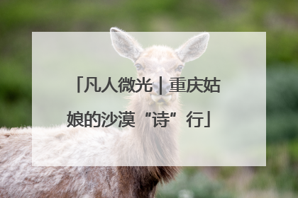 凡人微光｜重庆姑娘的沙漠“诗”行