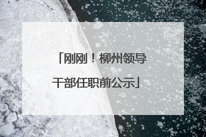 刚刚！柳州领导干部任职前公示