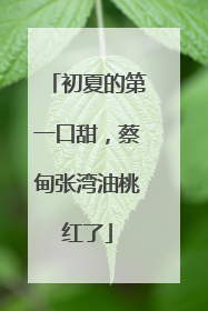 初夏的第一口甜，蔡甸张湾油桃红了