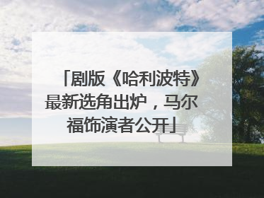 剧版《哈利波特》最新选角出炉，马尔福饰演者公开