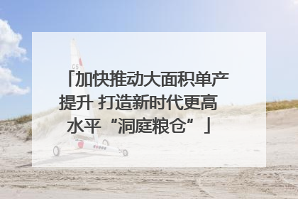 加快推动大面积单产提升 打造新时代更高水平“洞庭粮仓”