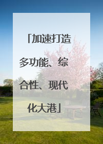 加速打造多功能、综合性、现代化大港