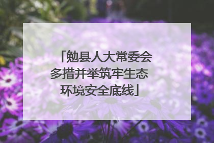 勉县人大常委会多措并举筑牢生态环境安全底线