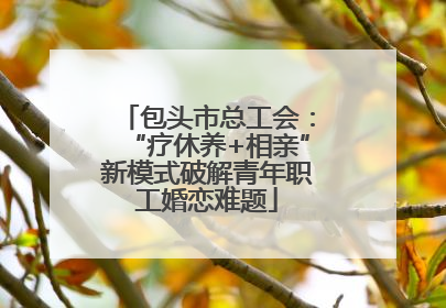 包头市总工会：“疗休养+相亲”新模式破解青年职工婚恋难题