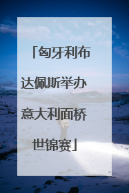匈牙利布达佩斯举办意大利面桥世锦赛