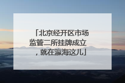 北京经开区市场监管二所挂牌成立，就在瀛海这儿