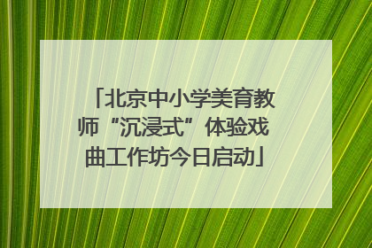 北京中小学美育教师“沉浸式”体验戏曲工作坊今日启动