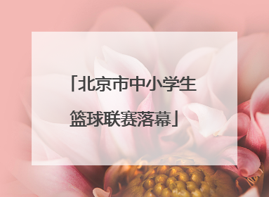 北京市中小学生篮球联赛落幕