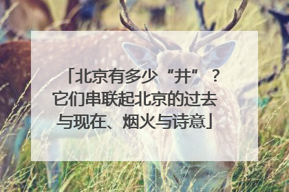 北京有多少“井”?它们串联起北京的过去与现在、烟火与诗意