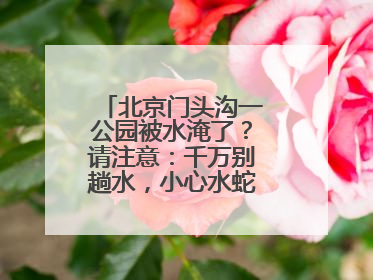 北京门头沟一公园被水淹了？请注意：千万别趟水，小心水蛇、水蛭……