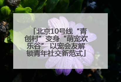 北京10号线“青创村”变身“萌宠欢乐谷” 以宠会友解锁青年社交新范式