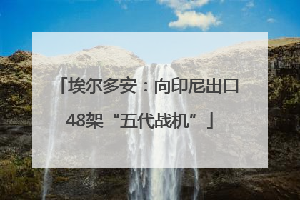 埃尔多安：向印尼出口48架“五代战机”