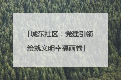 城东社区：党建引领绘就文明幸福画卷