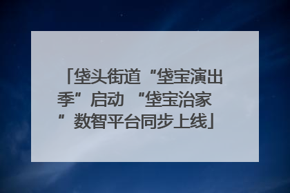 垡头街道“垡宝演出季”启动 “垡宝治家”数智平台同步上线