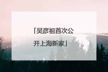 吴彦祖首次公开上海新家