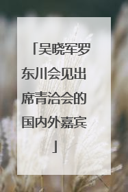 吴晓军罗东川会见出席青洽会的国内外嘉宾