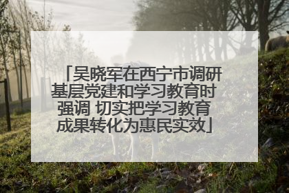 吴晓军在西宁市调研基层党建和学习教育时强调 切实把学习教育成果转化为惠民实效