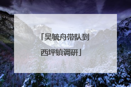 吴毓舟带队到西坪镇调研
