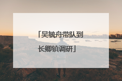 吴毓舟带队到长卿镇调研