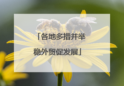 各地多措并举稳外贸促发展