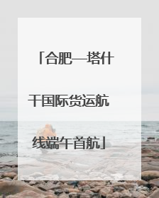 合肥—塔什干国际货运航线端午首航