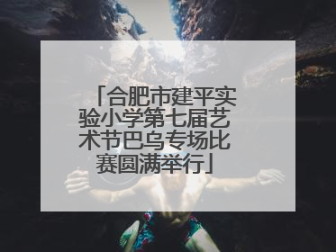 合肥市建平实验小学第七届艺术节巴乌专场比赛圆满举行