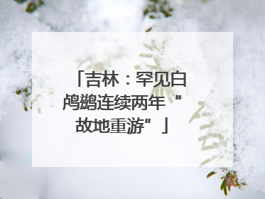 吉林：罕见白鸬鹚连续两年“故地重游”