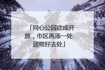 同心公园建成开放，市区再添一处遛弯好去处