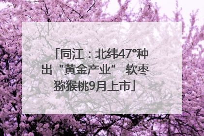 同江：北纬47°种出“黄金产业” 软枣猕猴桃9月上市