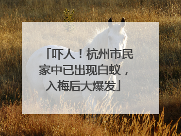吓人！杭州市民家中已出现白蚁，入梅后大爆发