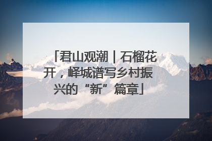 君山观潮｜石榴花开，峄城谱写乡村振兴的“新”篇章