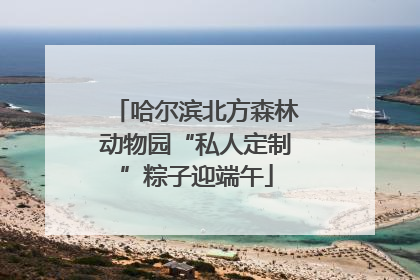 哈尔滨北方森林动物园“私人定制”粽子迎端午