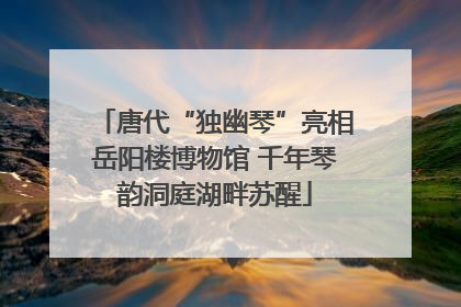 唐代“独幽琴”亮相岳阳楼博物馆 千年琴韵洞庭湖畔苏醒