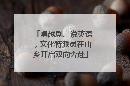 唱越剧、说英语，文化特派员在山乡开启双向奔赴