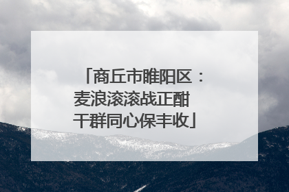 商丘市睢阳区：麦浪滚滚战正酣 干群同心保丰收