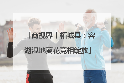 商视界丨柘城县：容湖湿地葵花竞相绽放