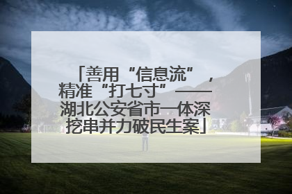 善用“信息流”，精准“打七寸”——湖北公安省市一体深挖串并力破民生案