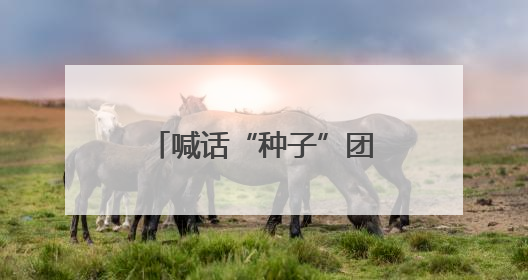 喊话“种子”团队，接过双肩包来开福“合伙”