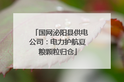 国网泌阳县供电公司：电力护航夏粮颗粒归仓