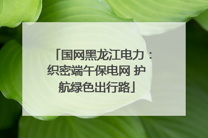 国网黑龙江电力：织密端午保电网 护航绿色出行路