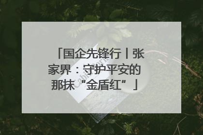 国企先锋行丨张家界：守护平安的那抹“金盾红”