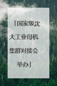 国家级沈大工业母机集群对接会举办