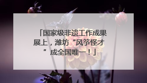 国家级非遗工作成果展上，潍坊“风筝怪才”成全国唯一！