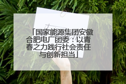 国家能源集团安徽合肥电厂团委：以青春之力践行社会责任与创新担当