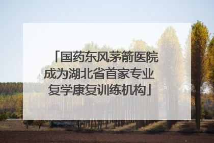 国药东风茅箭医院成为湖北省首家专业复学康复训练机构