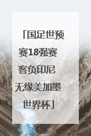 国足世预赛18强赛客负印尼 无缘美加墨世界杯
