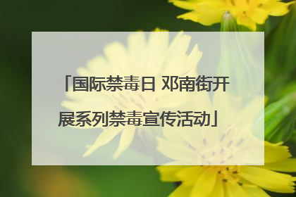 国际禁毒日 邓南街开展系列禁毒宣传活动