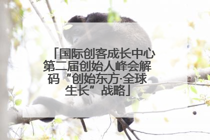 国际创客成长中心第二届创始人峰会解码“创始东方·全球生长”战略