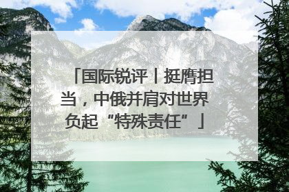 国际锐评丨挺膺担当，中俄并肩对世界负起“特殊责任”