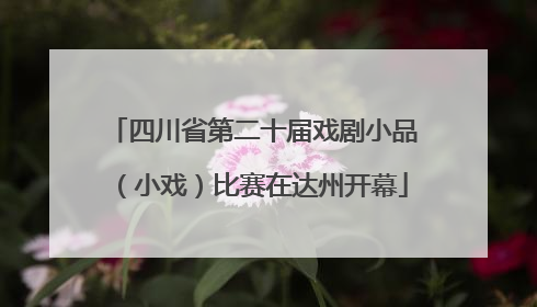 四川省第二十届戏剧小品（小戏）比赛在达州开幕